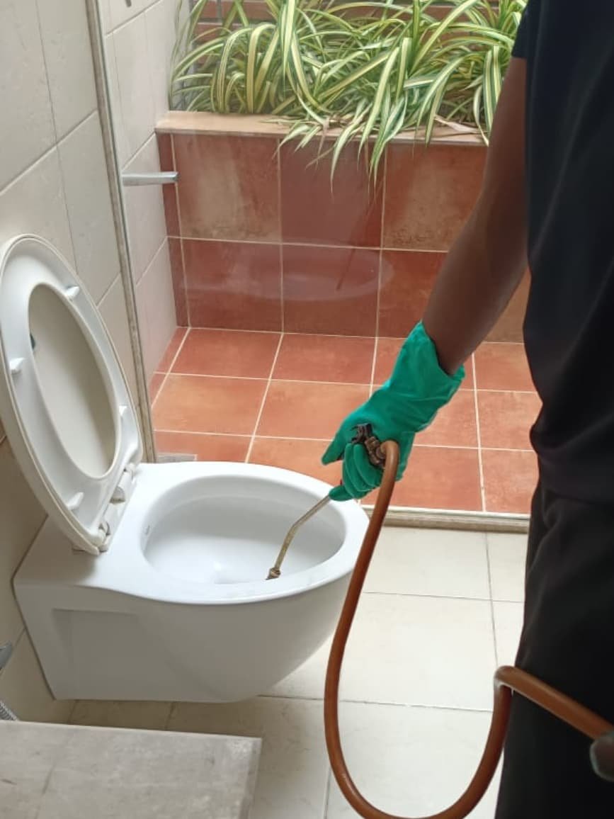 General pest control before and after treatment result by Clean Fanatics