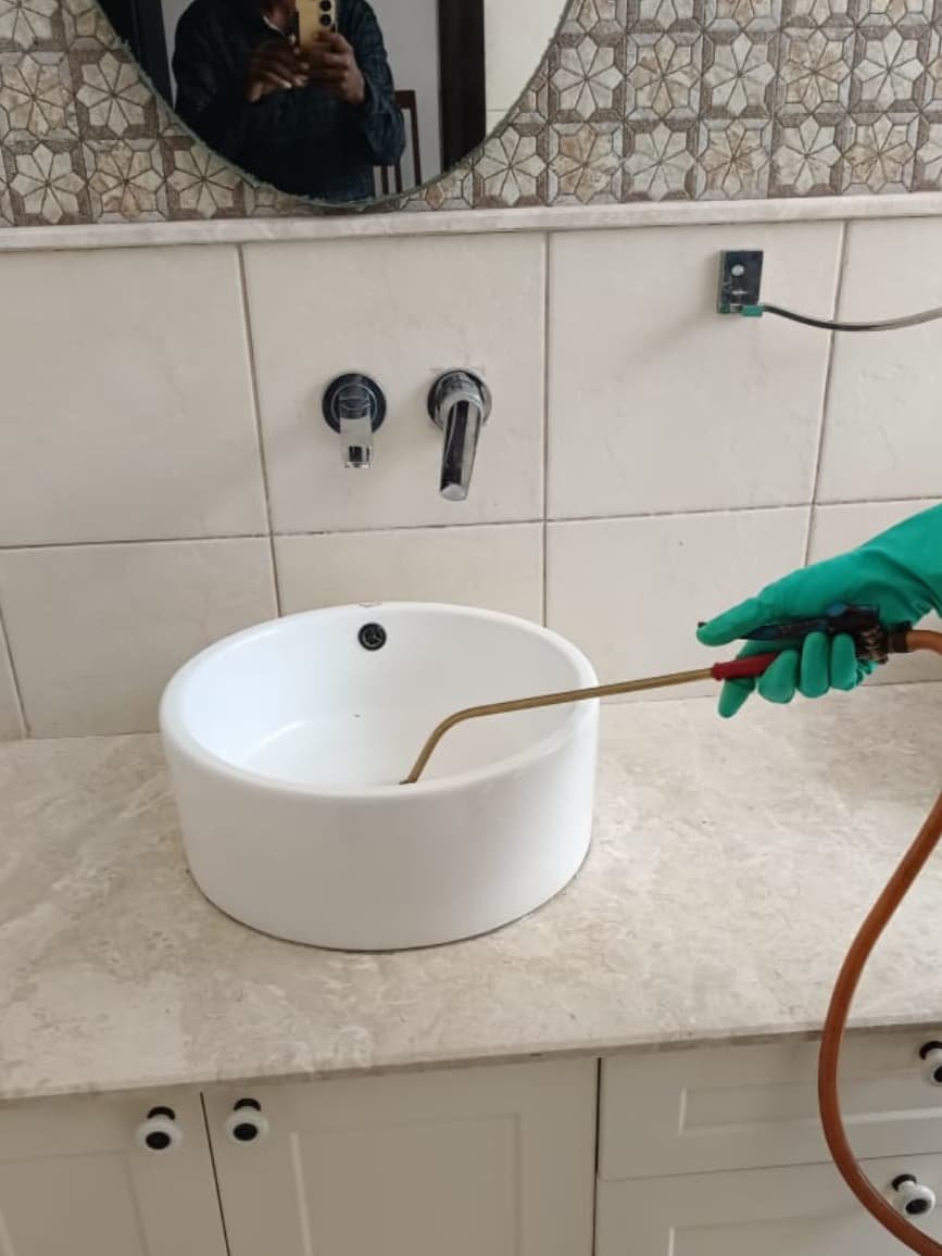Pest control before and after home treatment by Clean Fanatics