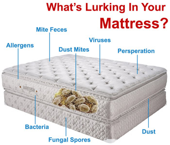 Dust-mites in your mattress cause allergies