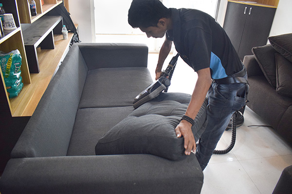 Clean Fanatics Sofa Cleaning