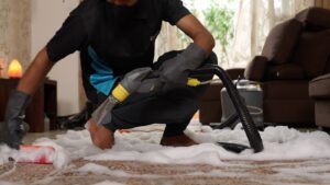 Clean Fanatics Carpet Cleaning Services