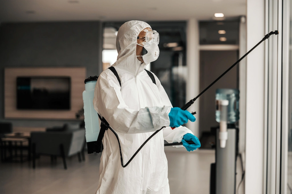 Expert in protective gear spraying for termite control.