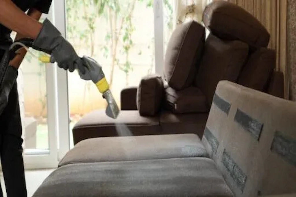 How to Clean Sofa