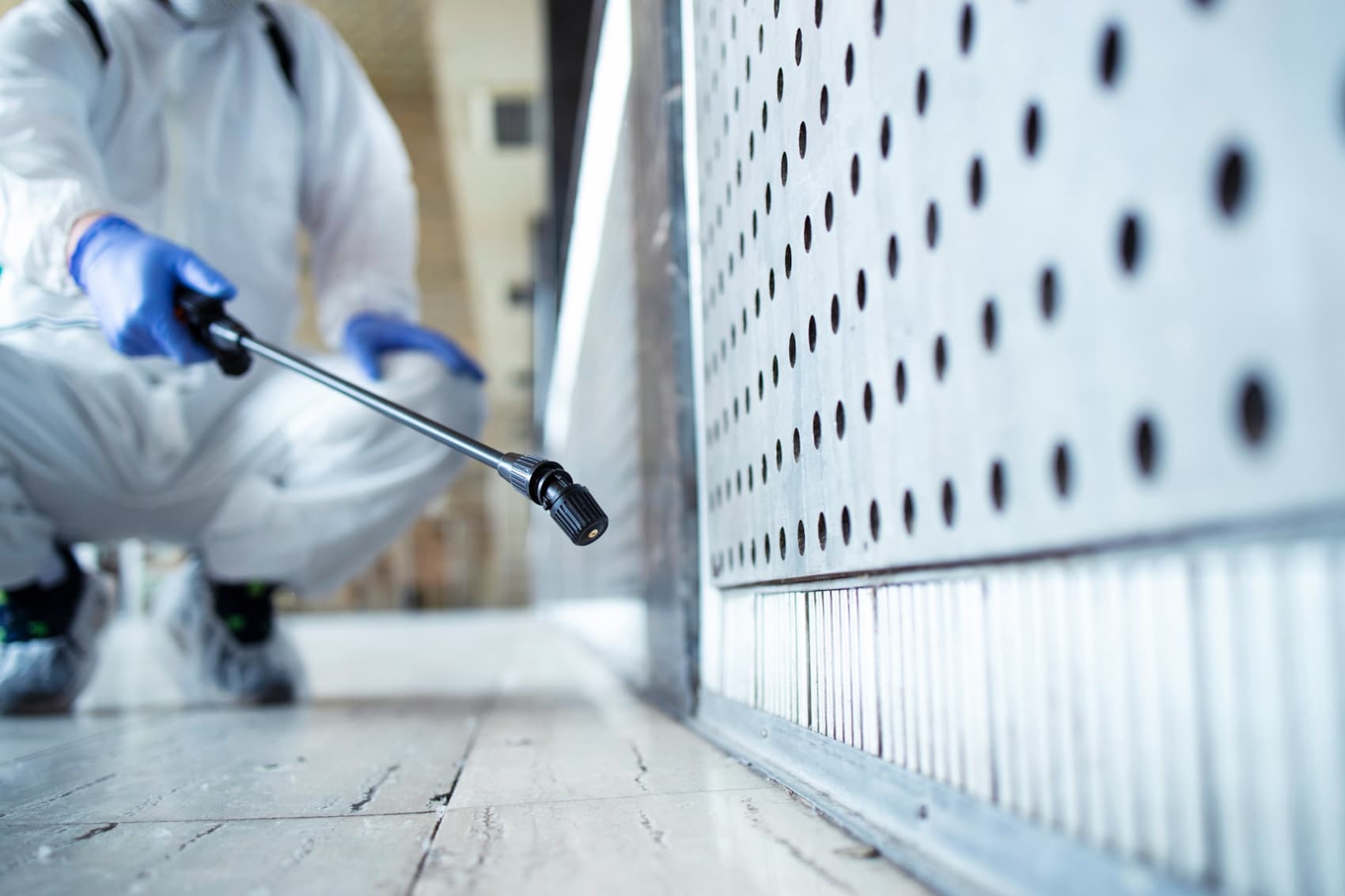 Termite Treatment Remedies: How to Get Rid of Termites