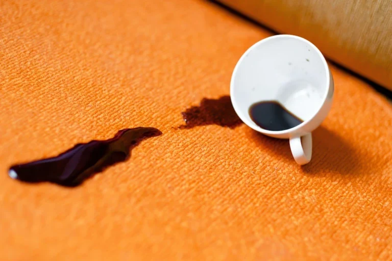 Sofa Stained by Coffee