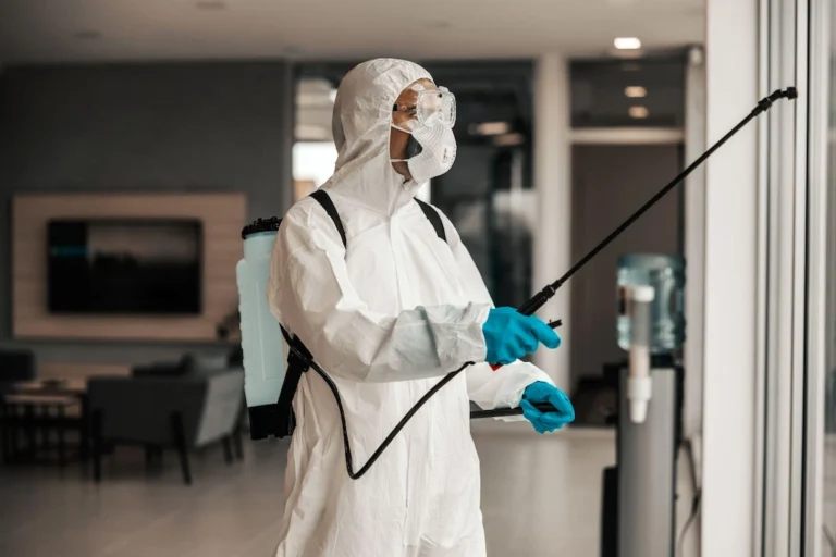 When to call Professionals for Cockroach Control