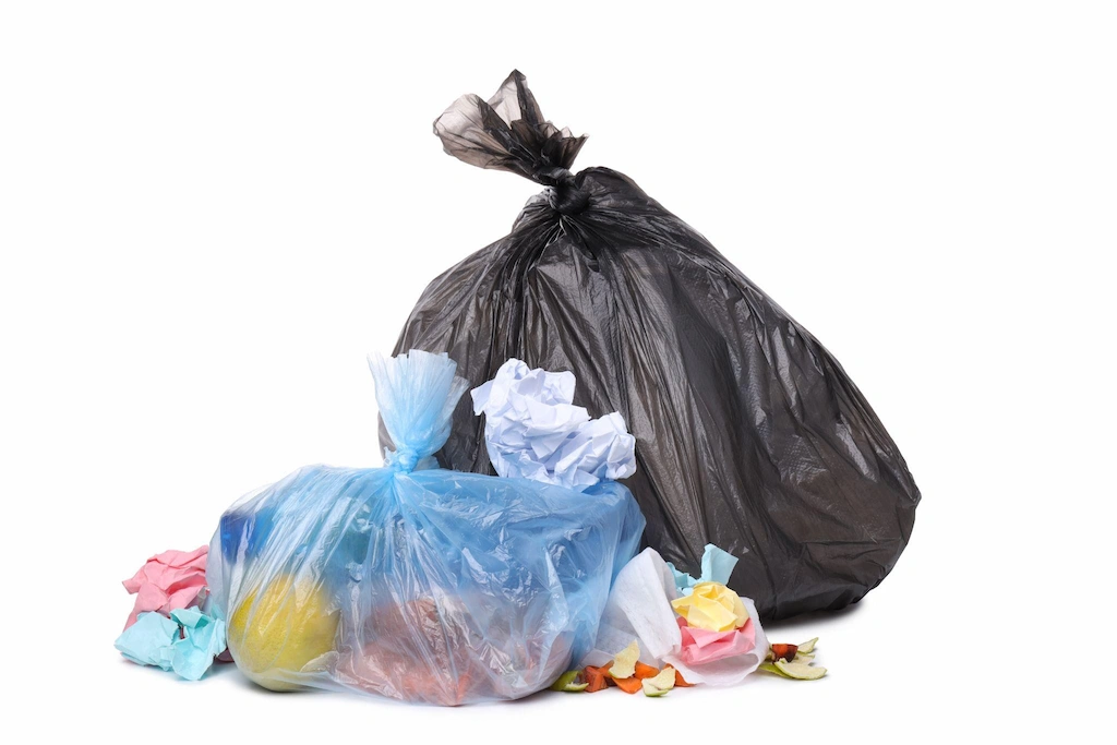 Wastes and Dengue Risk