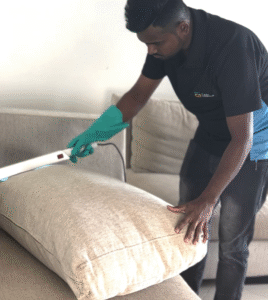 Mold and Mildew Growth on Sofa and its treatment