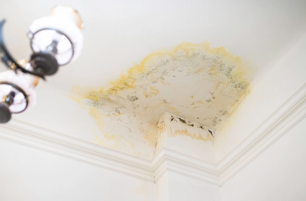 Water Damage on Walls