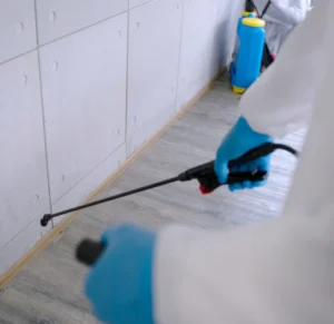 Spraying pest control solution along the base of tiled walls.