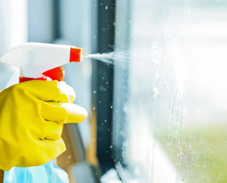 Window Cleaning Service