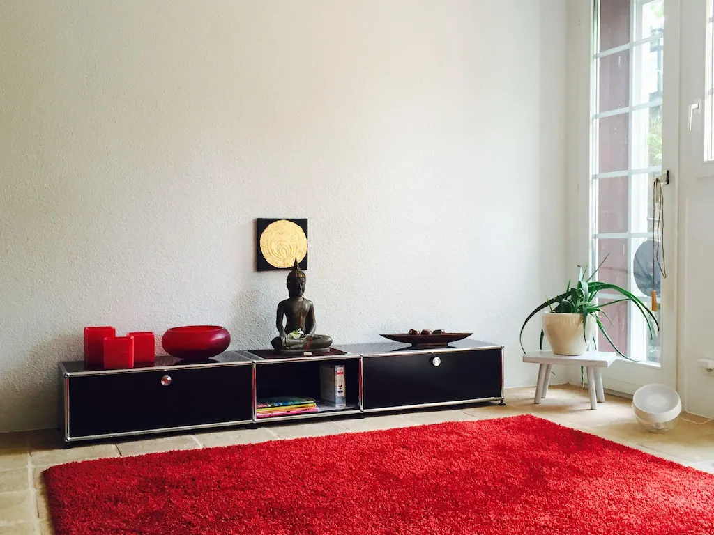 Guide for a Clean Carpet