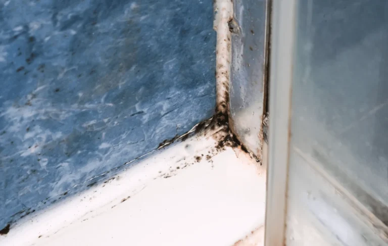 Hollow Tiles: What Causes Them and How to Prevent Them​