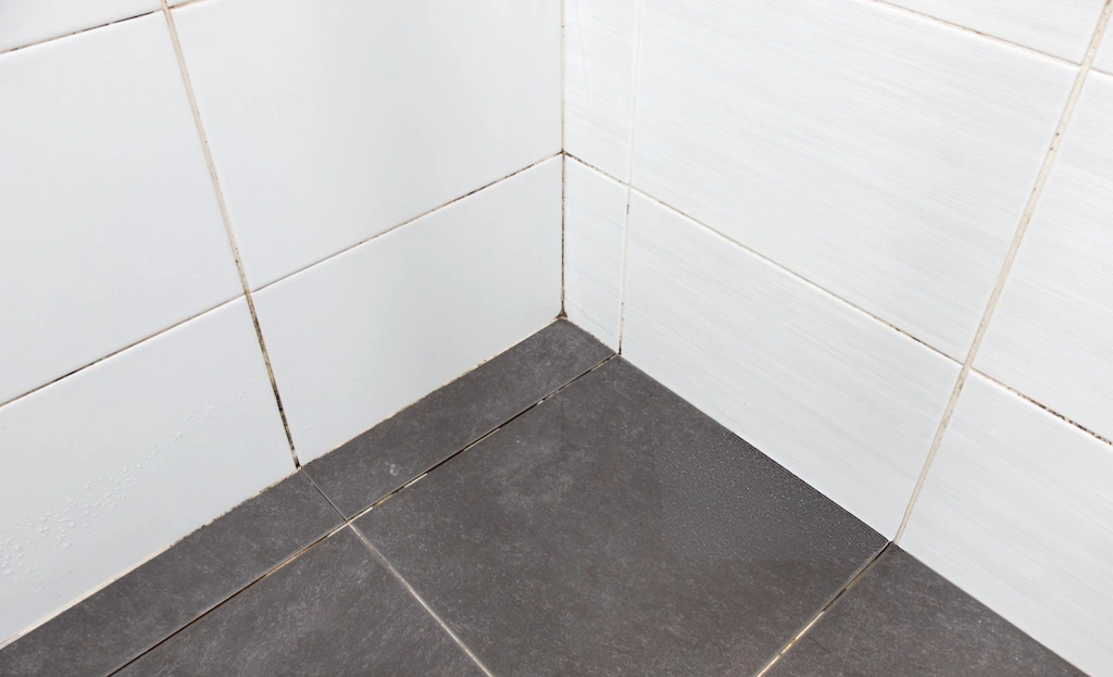 Cracked grout lines