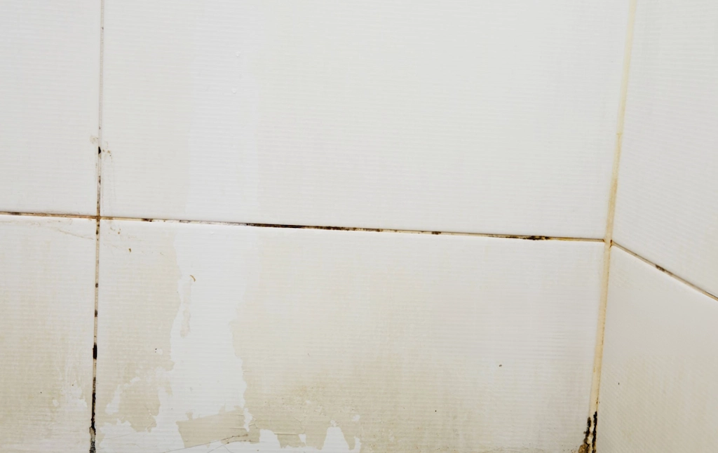 Discolored Grout Lines
