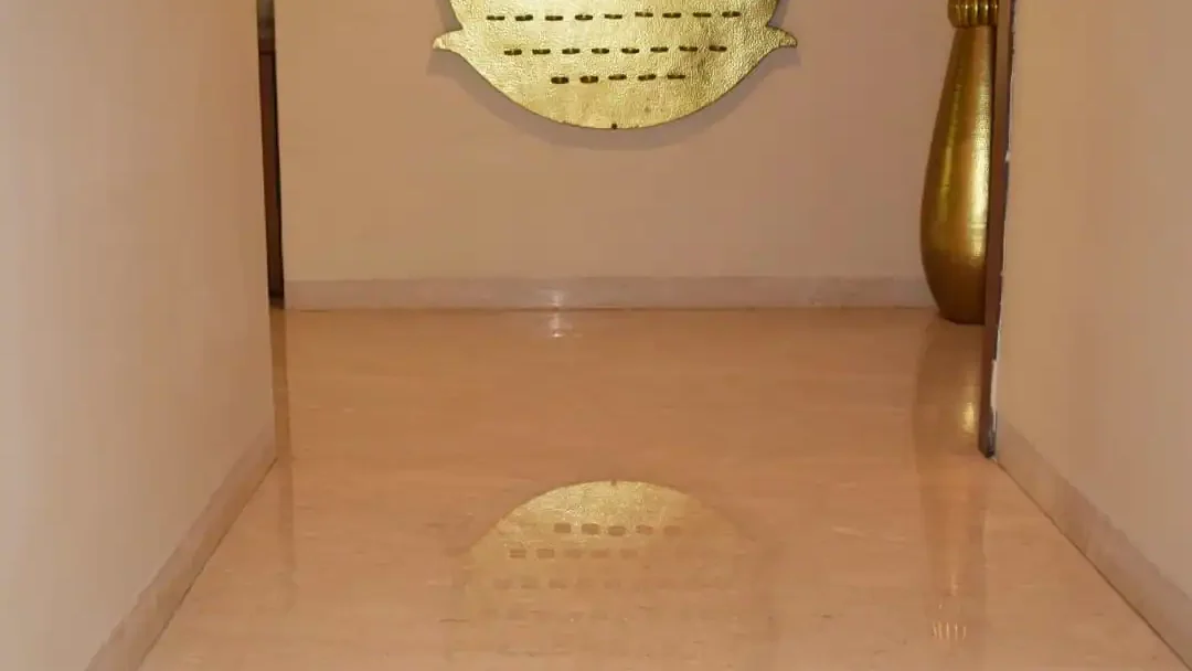 Marble Polishing- Clean Fanatics