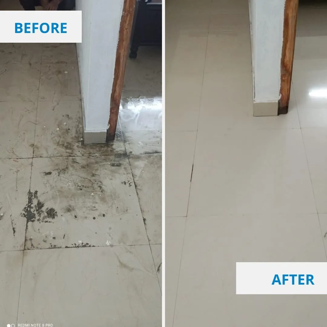 Before-and-After-All-Services