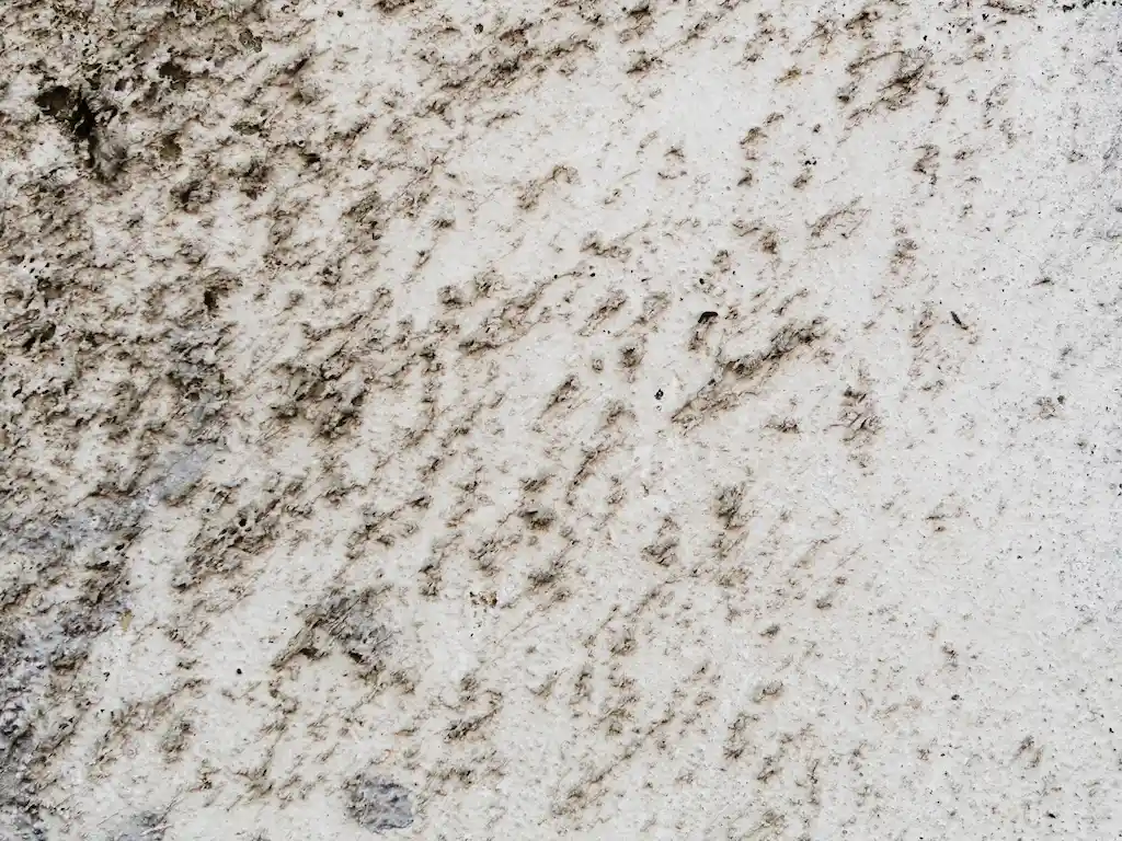 Spot & Stop Mold