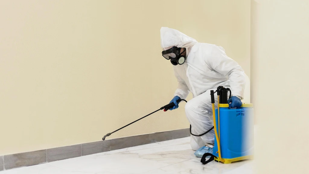 pest control
