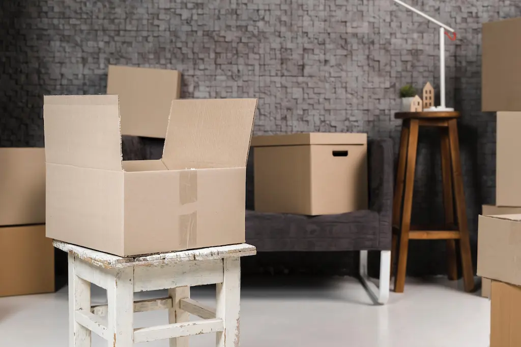 How to Prevent Termite Infestation