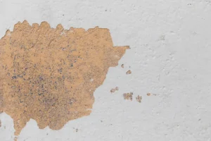 Early Signs of wall seepage