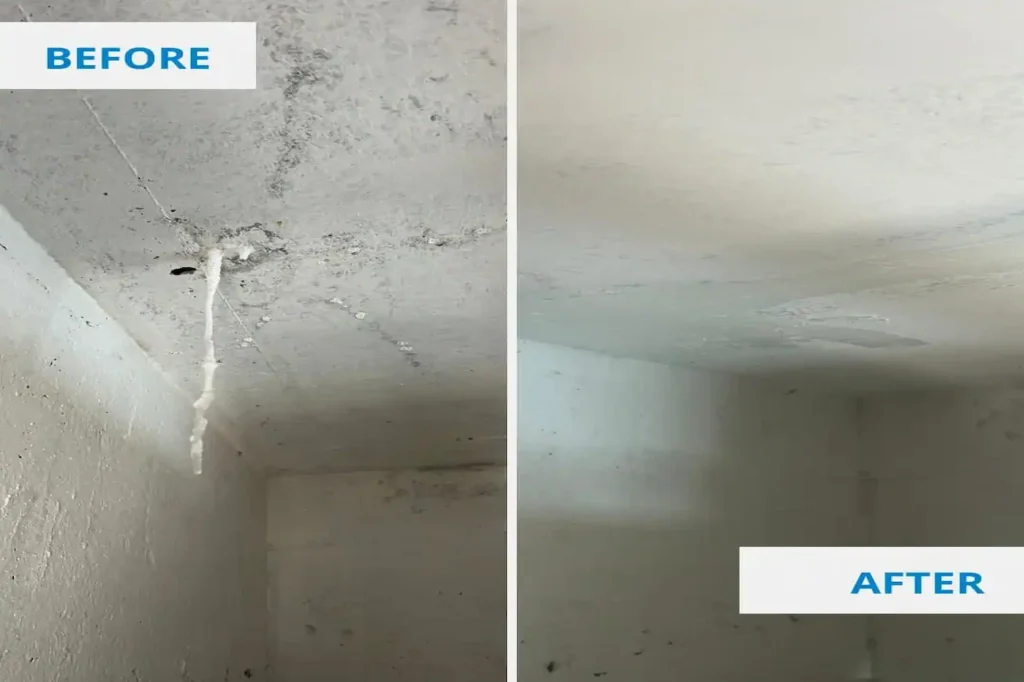Book Waterproofing Services in Bangalore Waterproofing services in Bangalore Waterproofing Before and After - Clean Fanatics