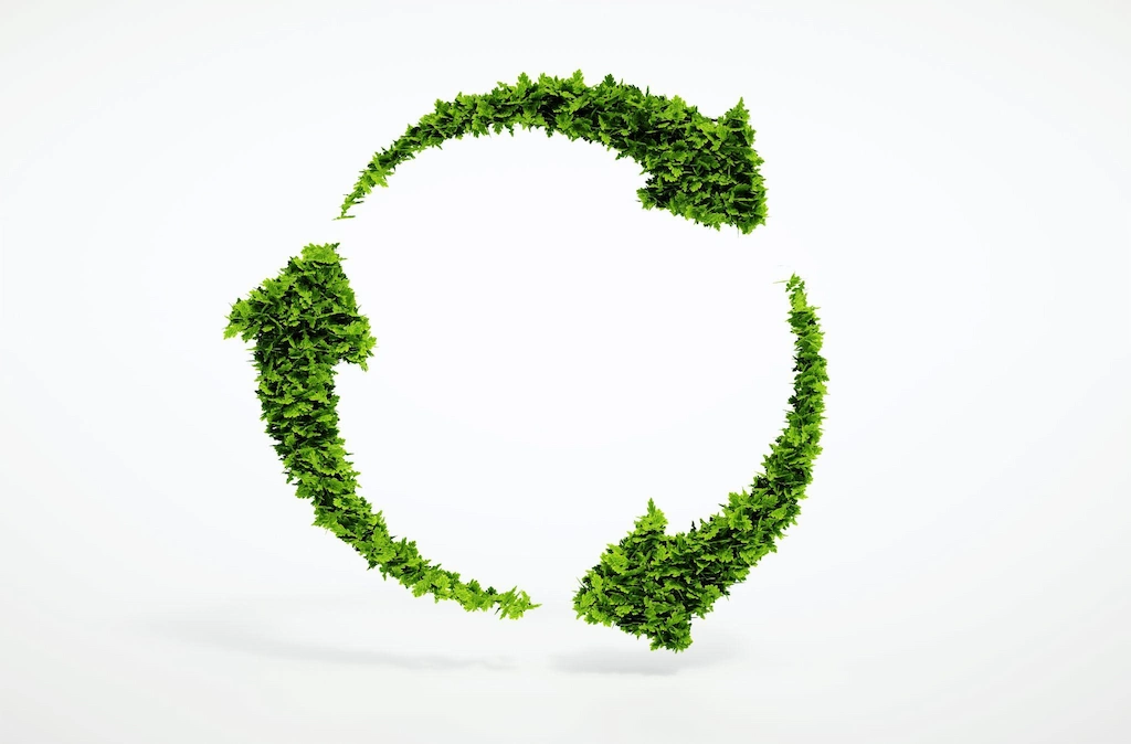 Eco-friendly Waterproofing options