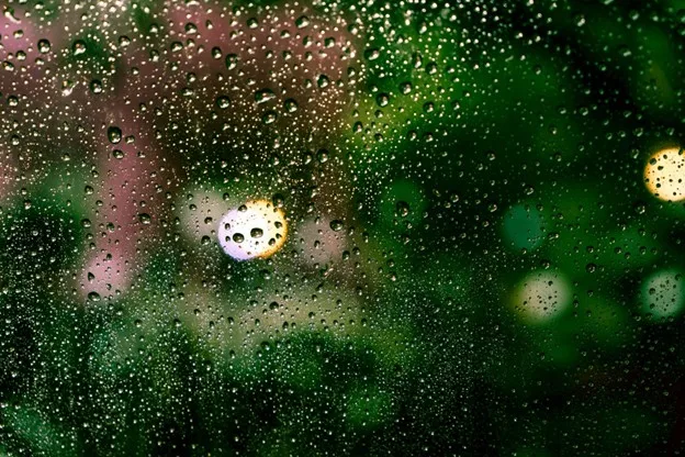 Monsoon safe painting: Drying times, dehumidifiers, and why peeling starts near windows Fabric vs Leather Chairs Monsoon Safe Painting