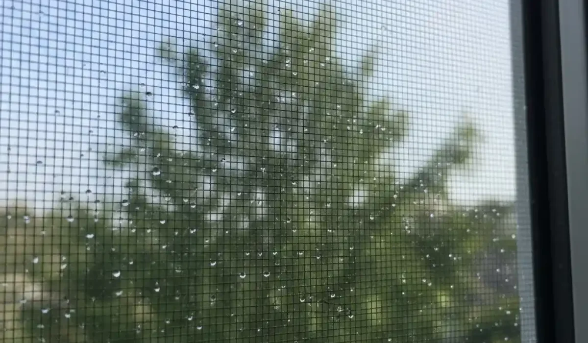 Close-up of a window mosquito mesh