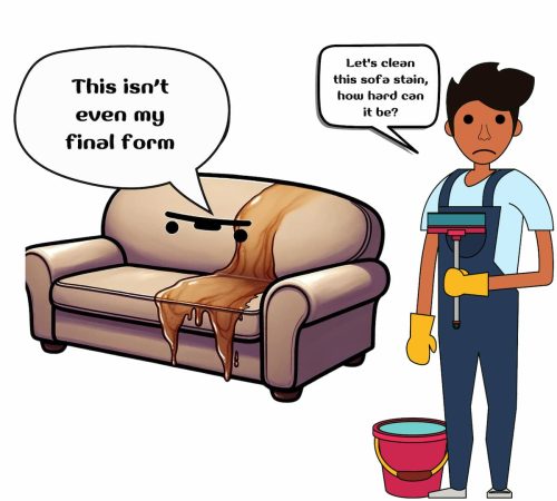 Sofa Cleaning Challenge Meme - By Clean Fanatics